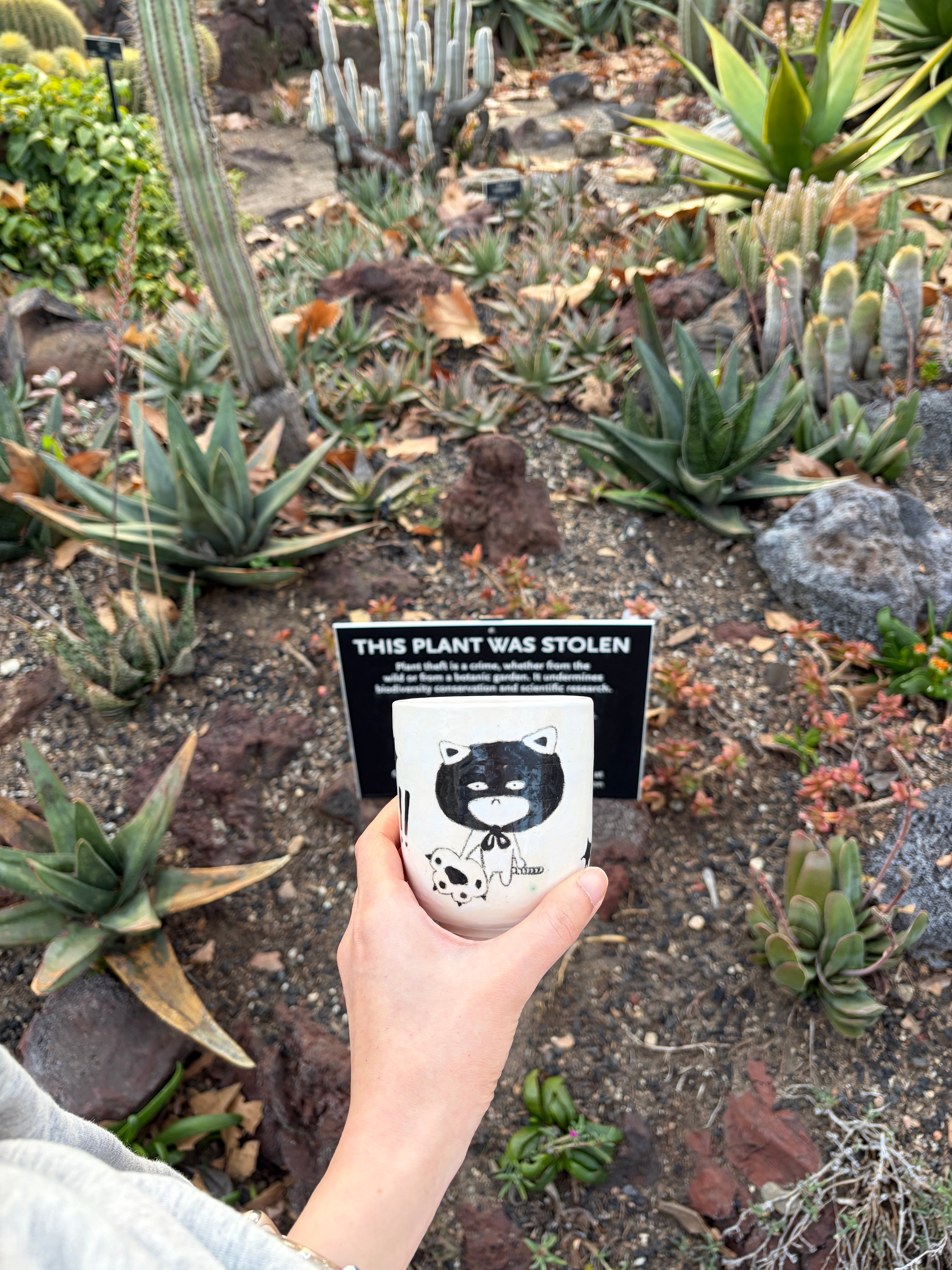 plant thief cup